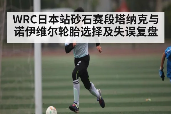 WRC日本站砂石赛段塔纳克与诺伊维尔轮胎选择及失误复盘